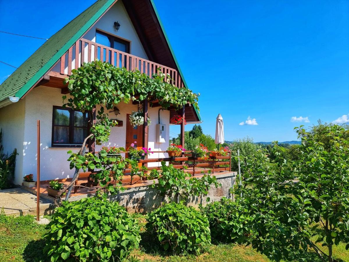Guesthouse Mreznica- Mreznicka Idila Resort Galovic-Selo Bagian luar foto