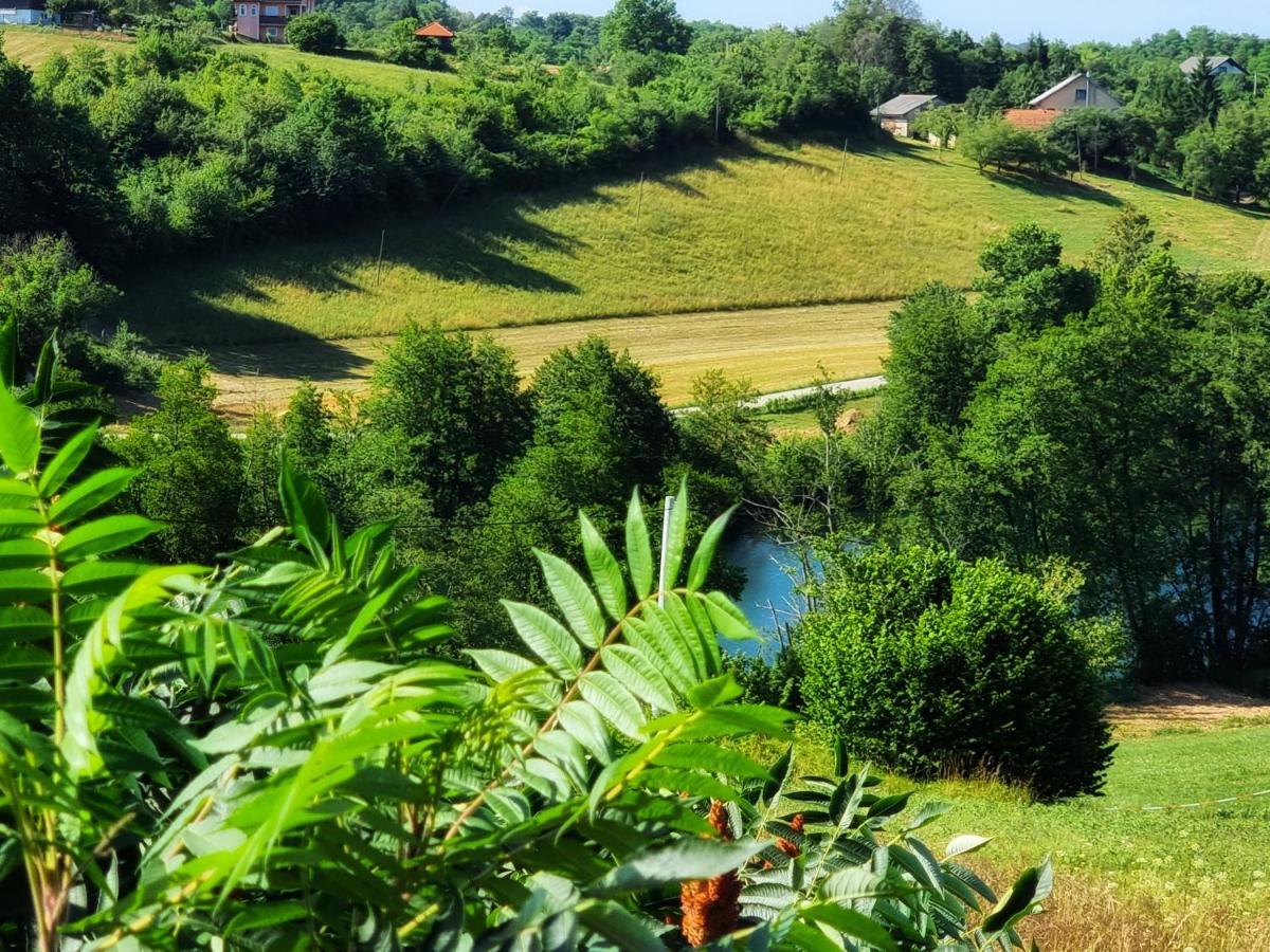 Guesthouse Mreznica- Mreznicka Idila Resort Galovic-Selo Bagian luar foto