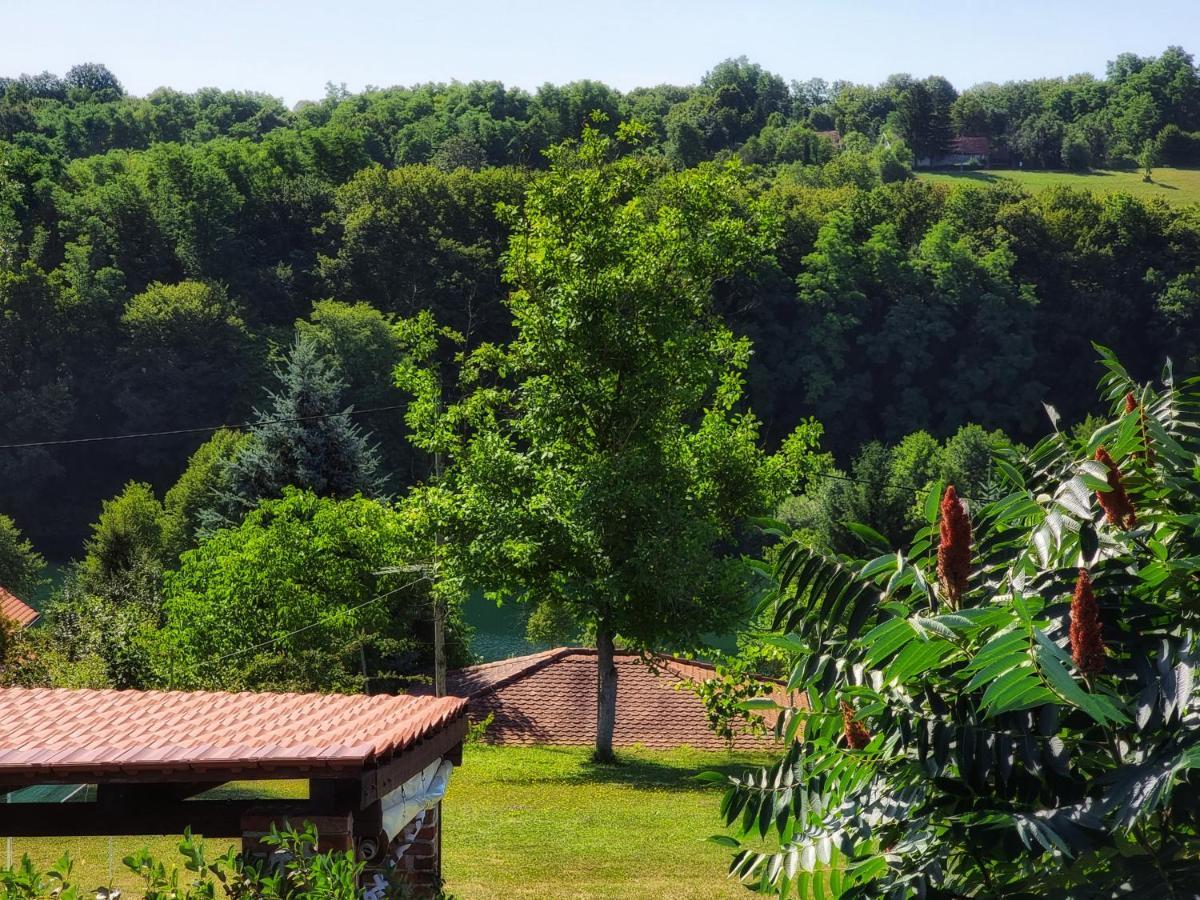 Guesthouse Mreznica- Mreznicka Idila Resort Galovic-Selo Bagian luar foto